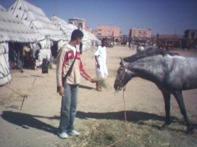 si.soufian@hotmail.fr
